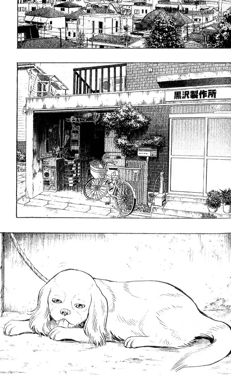 Animal Sense Chapter 3 5